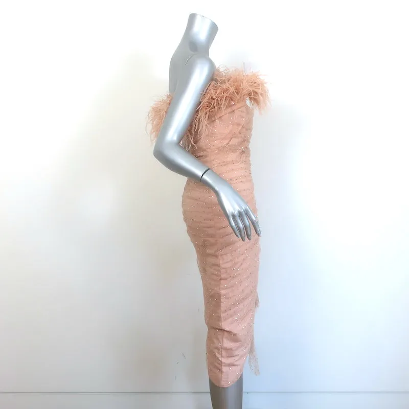 Badgley Mischka Breathtaking Crystal-Embellished Feather Dress Blush Size 6 NEW