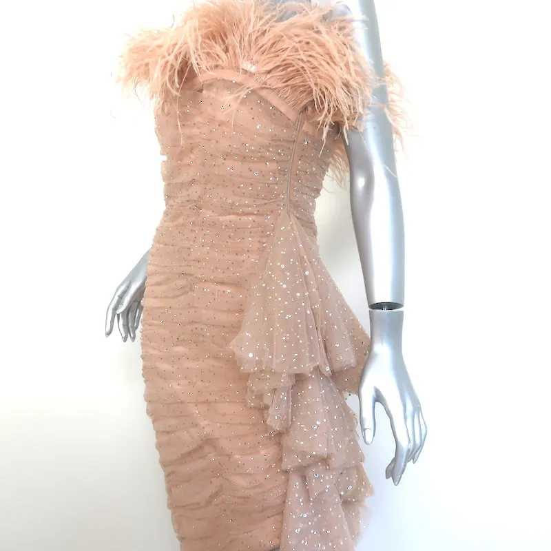 Badgley Mischka Breathtaking Crystal-Embellished Feather Dress Blush Size 6 NEW