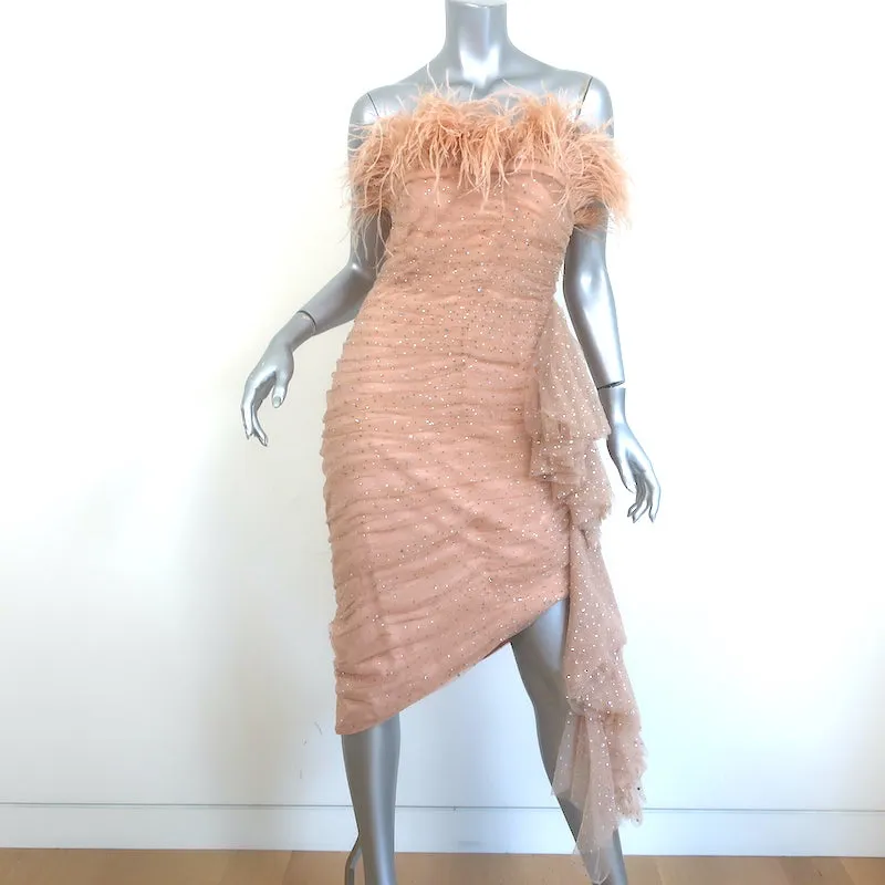 Badgley Mischka Breathtaking Crystal-Embellished Feather Dress Blush Size 6 NEW