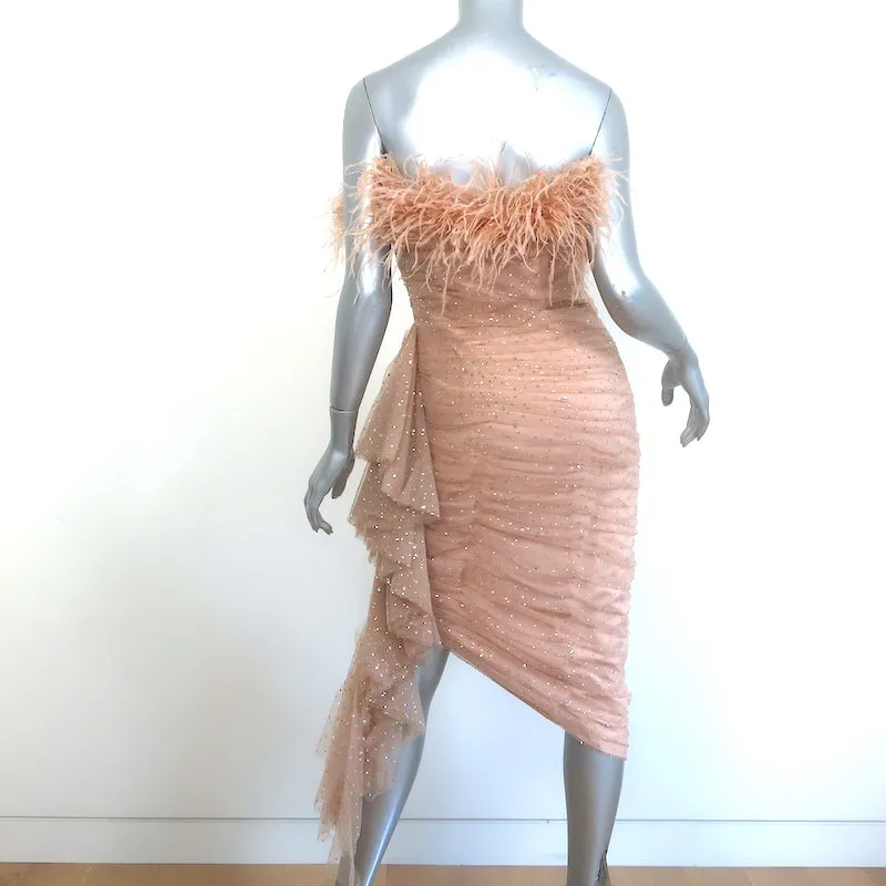 Badgley Mischka Breathtaking Crystal-Embellished Feather Dress Blush Size 6 NEW