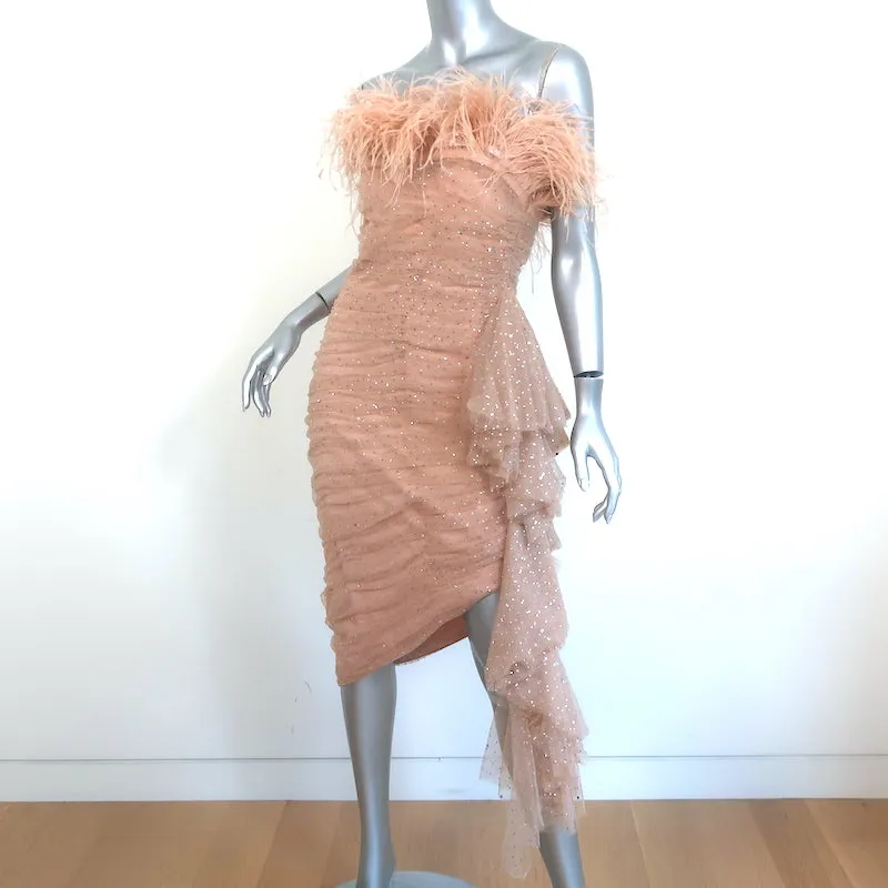 Badgley Mischka Breathtaking Crystal-Embellished Feather Dress Blush Size 6 NEW