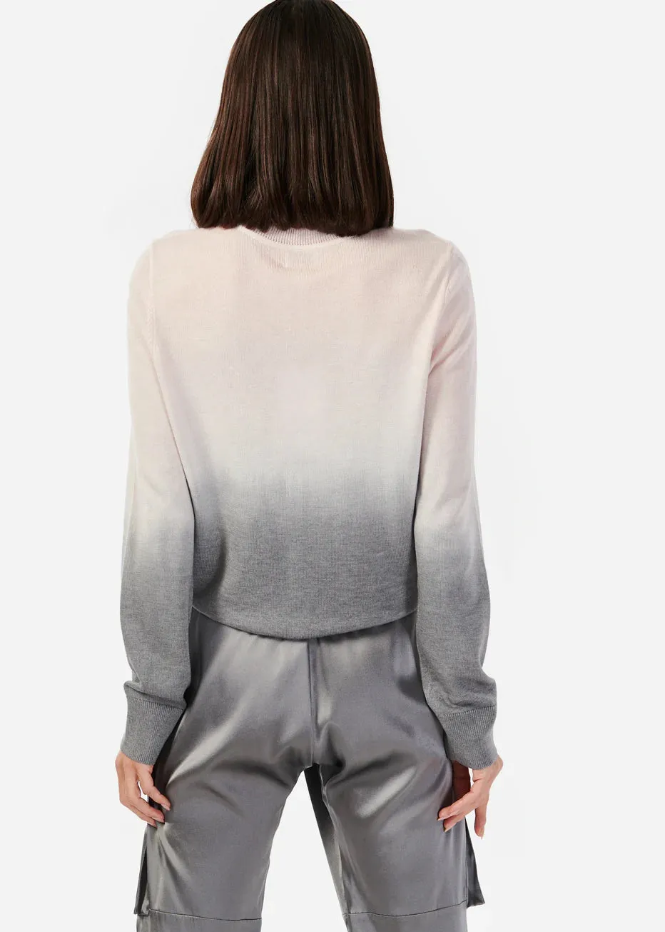 Cami NYC Lucinda Sweater Ballet Ombre