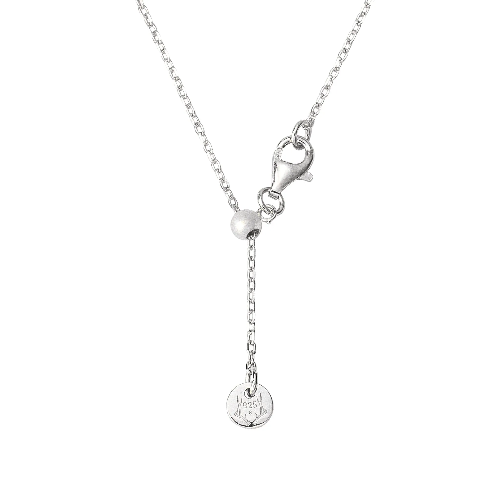 Dark Sky Park Meteorite Necklace
