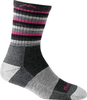 Darn Tough Womens Stripes Micro Crew Midweight Hiking Socks