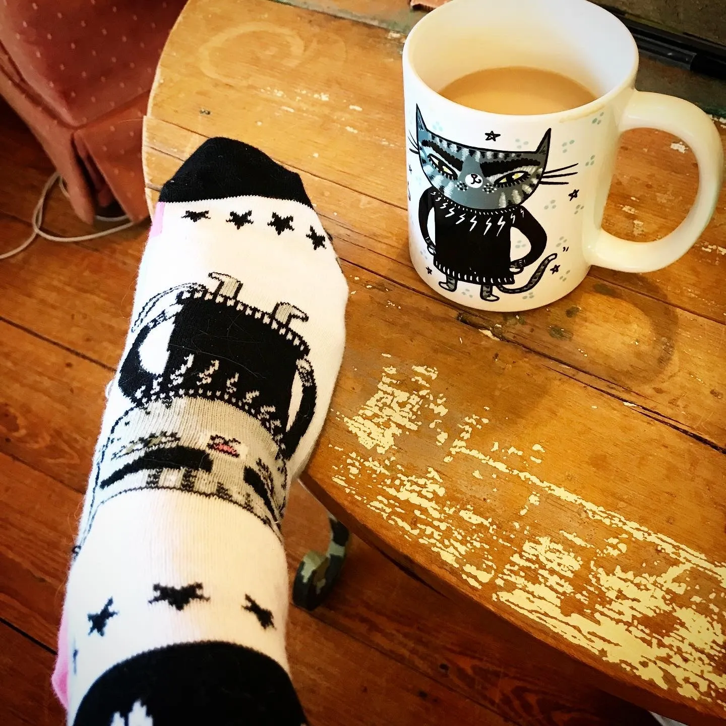 DAVID ROSE KITTY women's socks