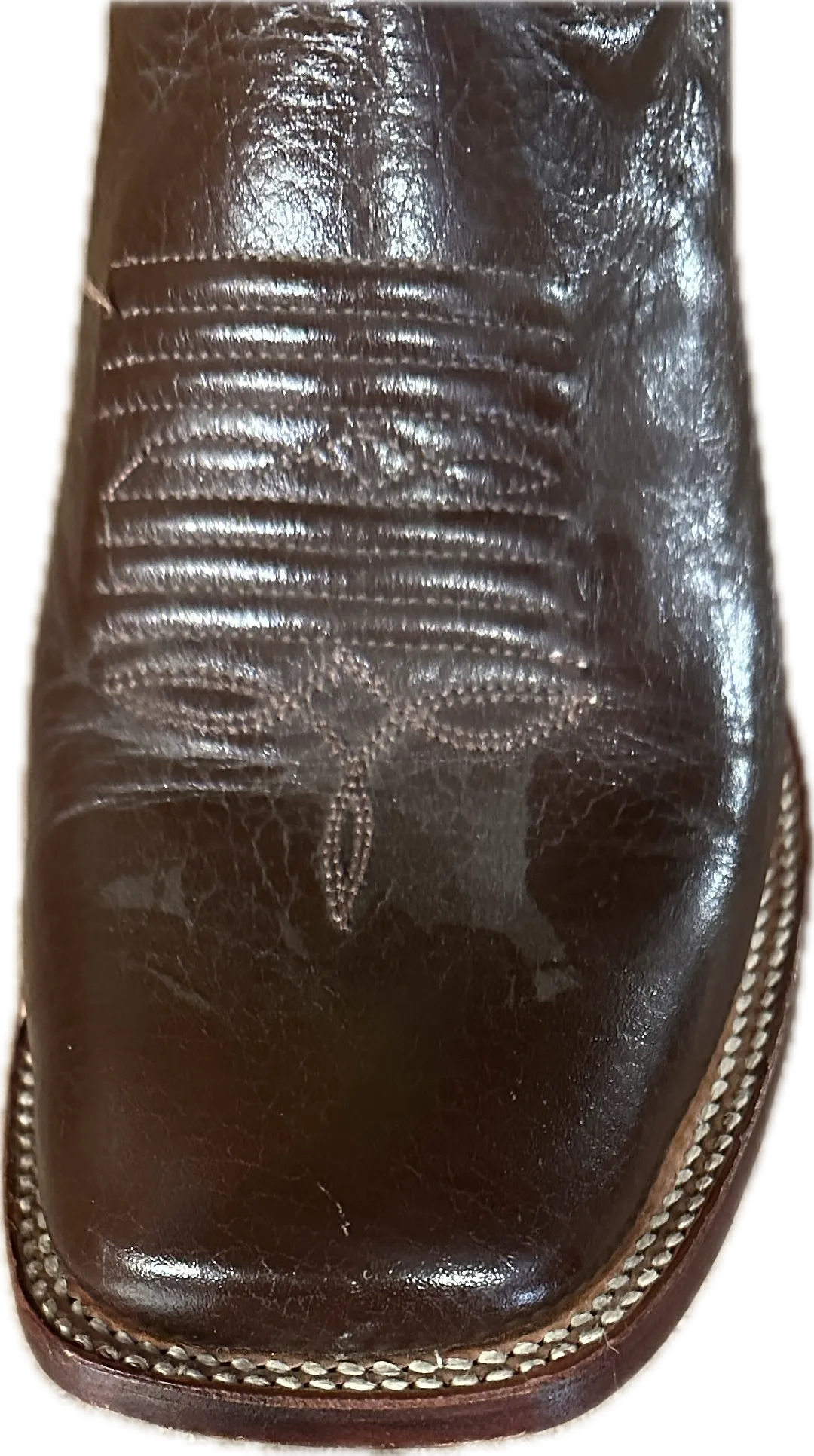 Ferrini Women's Square Toe Brown & Green Boots