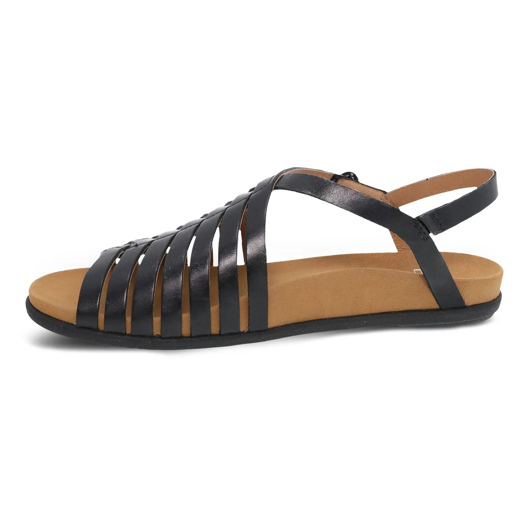 Jennifer (Black)