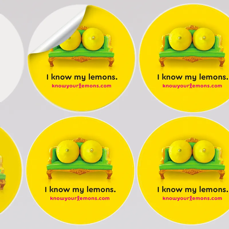 Know Your Lemons Breast Cancer Awareness Retractable Banner Stand Bundle (continental USA only)