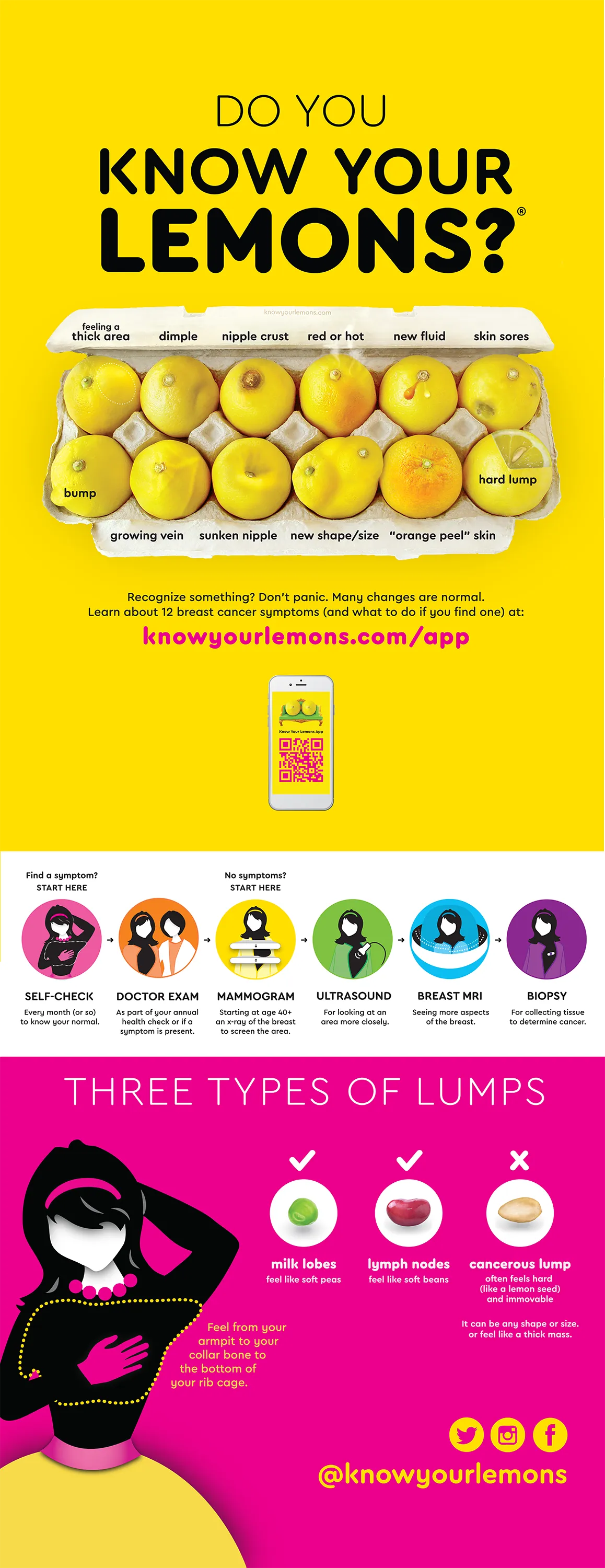 Know Your Lemons Breast Cancer Awareness Retractable Banner Stand Bundle (continental USA only)