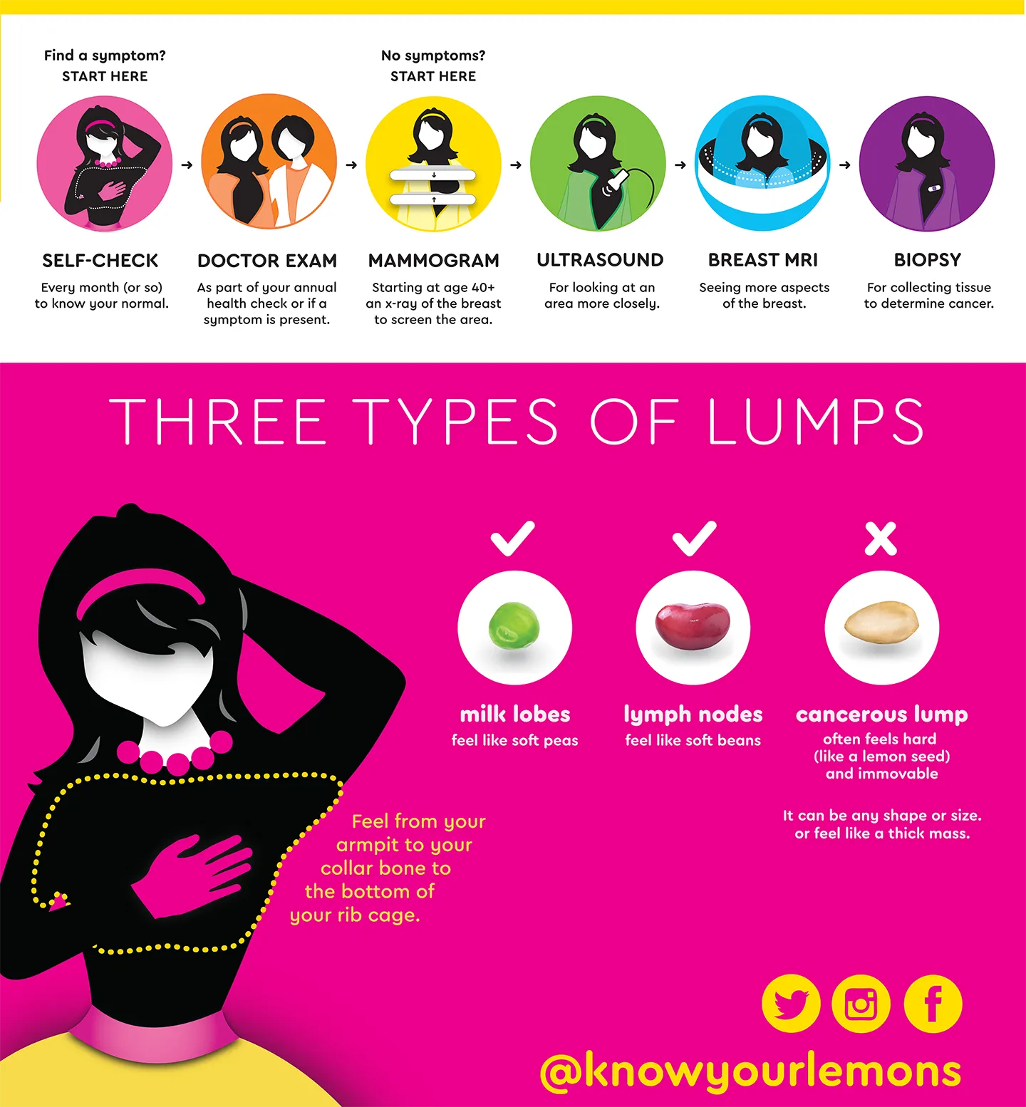 Know Your Lemons Breast Cancer Awareness Retractable Banner Stand Bundle (continental USA only)