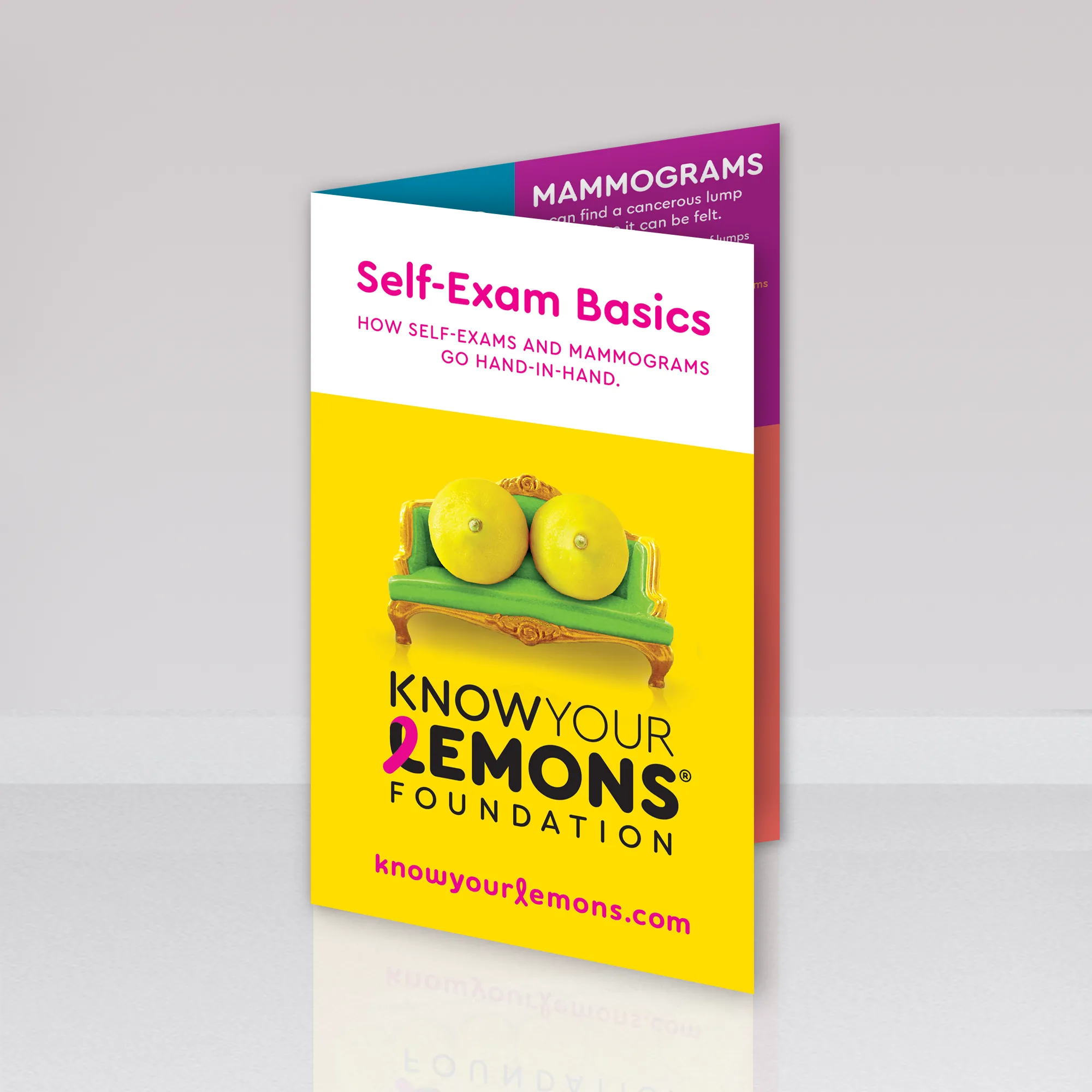 Know Your Lemons Breast Cancer Awareness Retractable Banner Stand Bundle (continental USA only)
