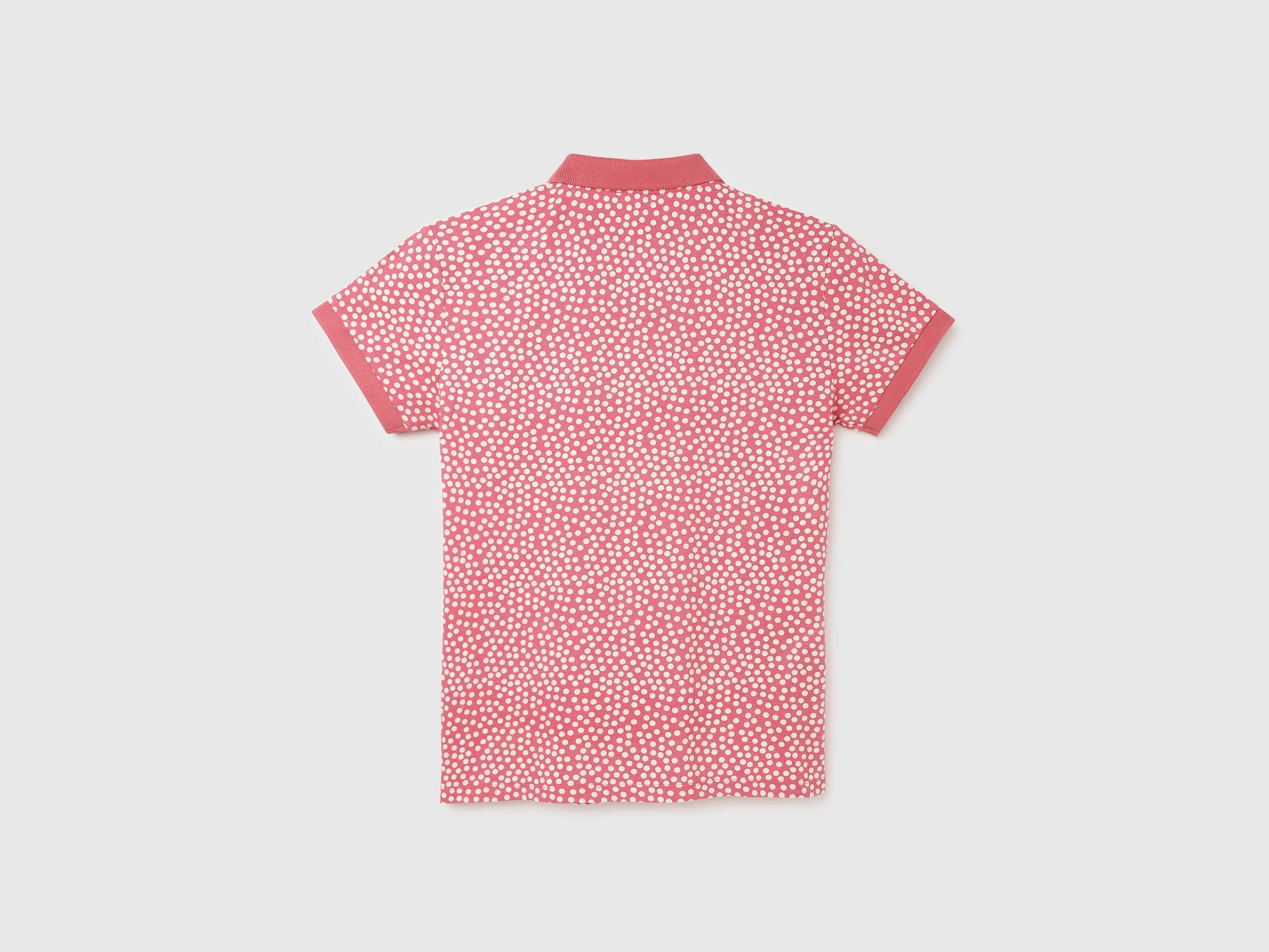 Regular Fit Polo Neck Printed Women's T-Shirt