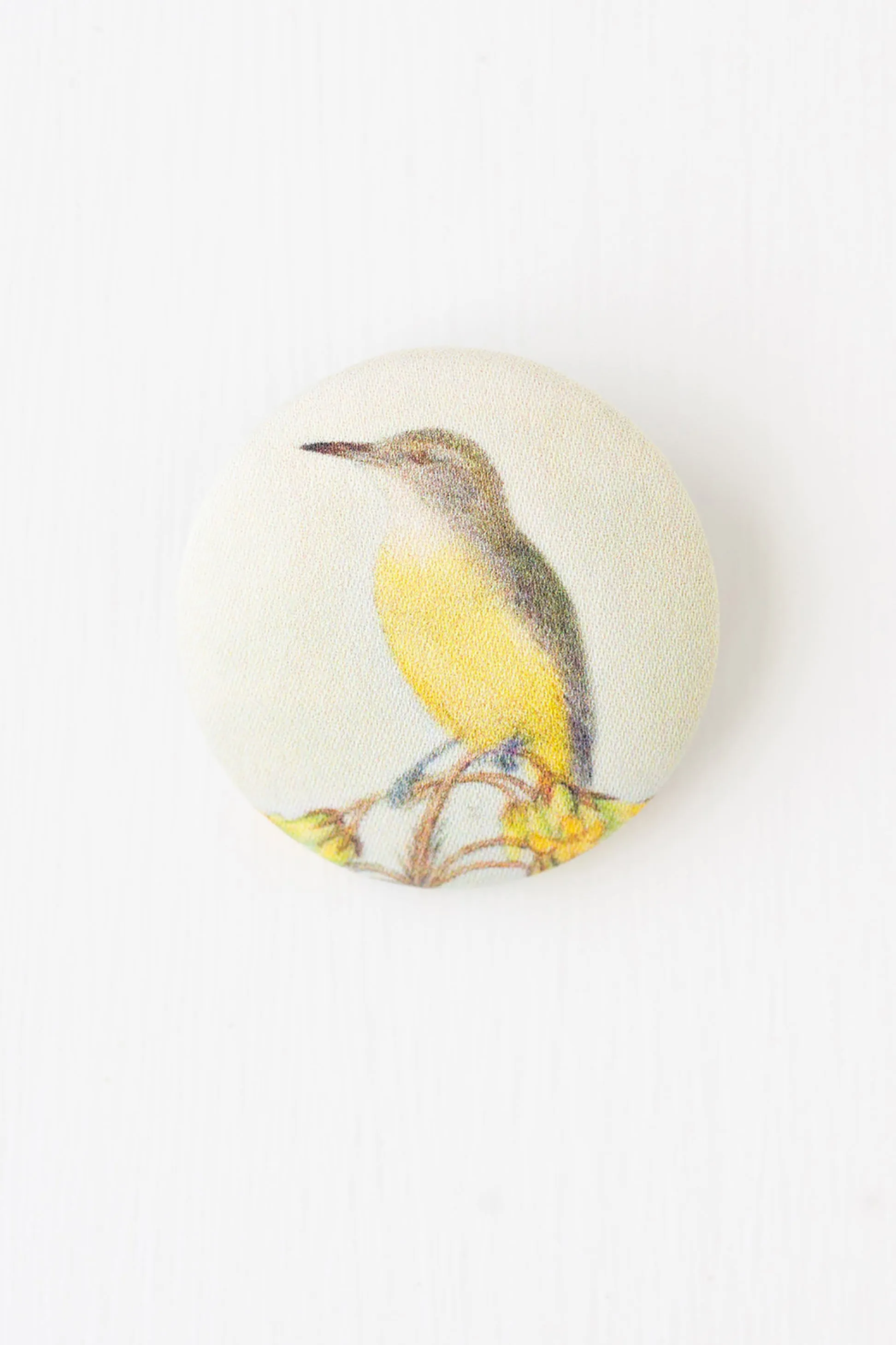 Robin brooch
