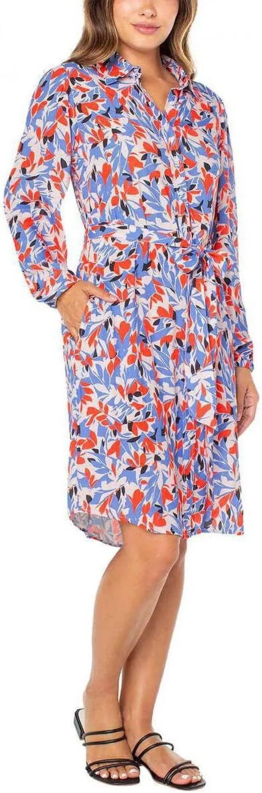 Well Worn Women's Collared Midi Dress with Pockets 1749069 Red Print 2XL